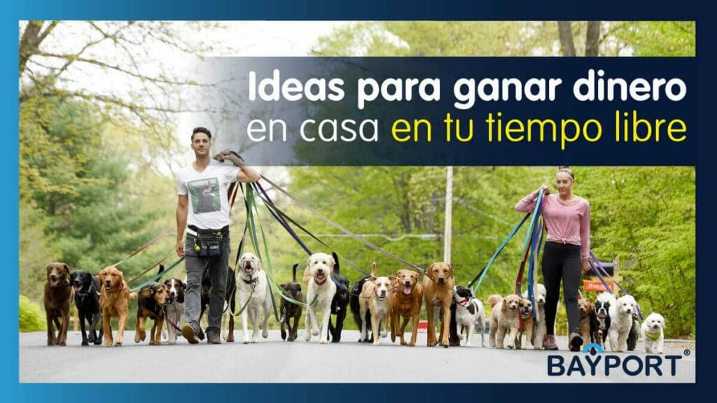 Ideas Para Ganar Dinero en Casa en Tu Tiempo Libre