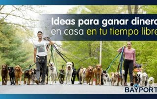 ideas para ganar dinero